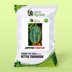 JUPITERPUMPKIN